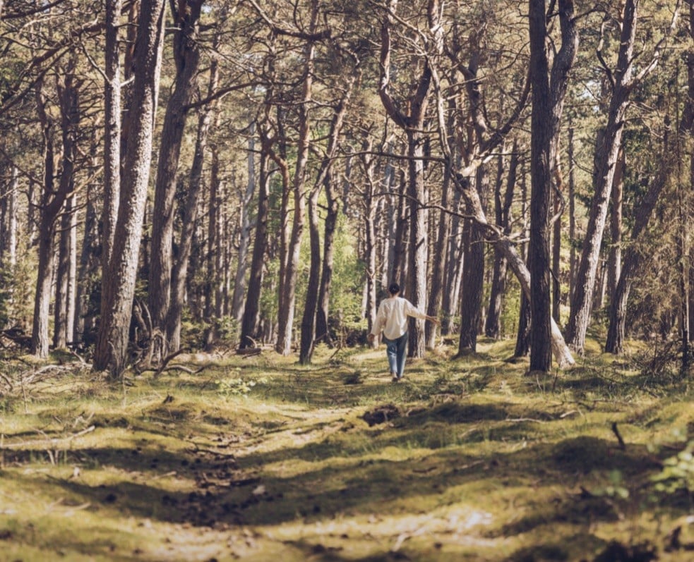 Kursus - Tryghed i kroppen – introduktion til polyvagal teori