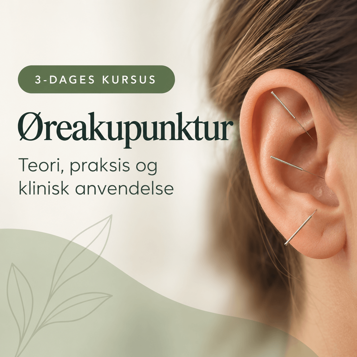 3 dages kursus i Øreakupunktur
